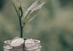 Depositphotos_87849966_XL vierkant