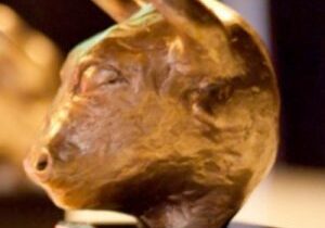 Gouden Stier Jury 2015