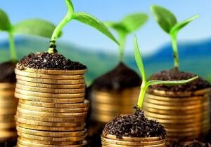Growth green business money investment prosperity concept